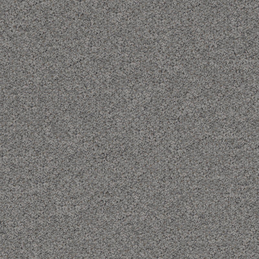 Ambiant 10 elephant
