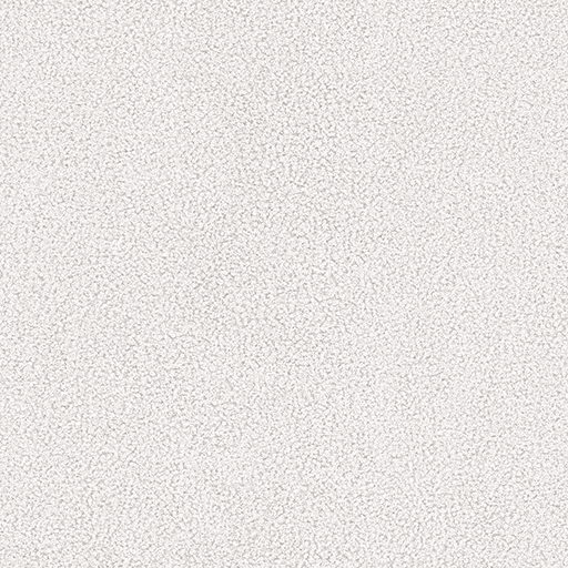 Nowornever 01 white