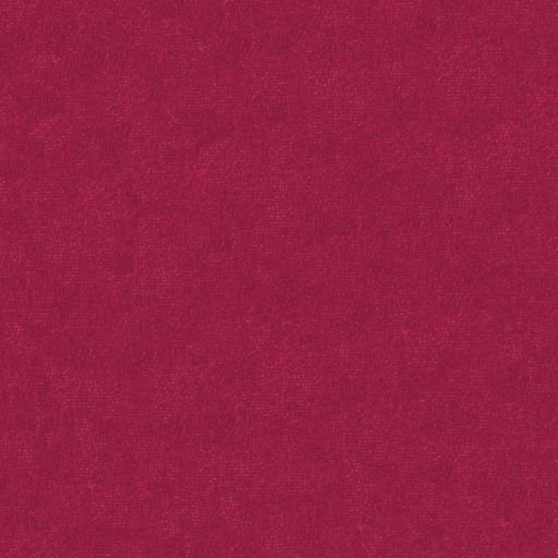 Paris Red Rose 13