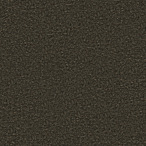 Picasso 9304 brunette