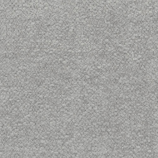Raven Light Grey 06
