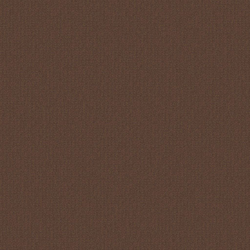 Salvador Chocolate 4