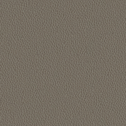 Toro sand 04